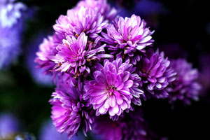 免费用虚拟号码发短信